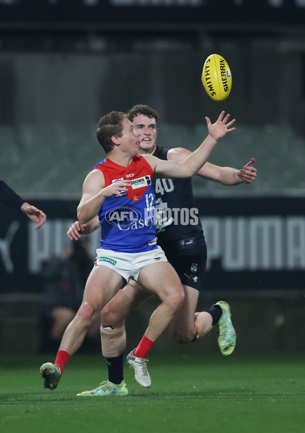 VFL 2024 Round 07 - Carlton v Casey Demons - A-49080712