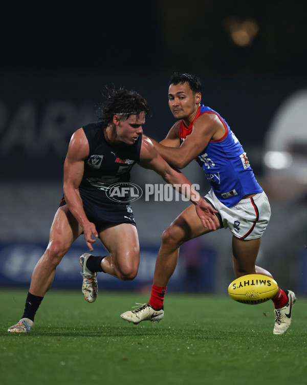 VFL 2024 Round 07 - Carlton v Casey Demons - A-49084114