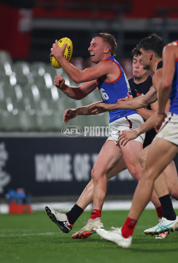 VFL 2024 Round 07 - Carlton v Casey Demons - A-49084121