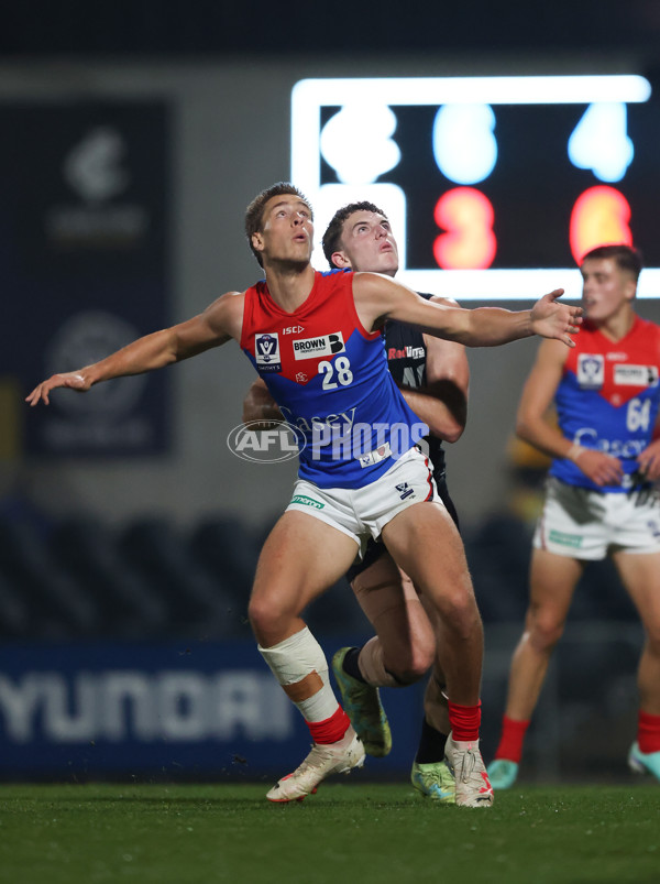 VFL 2024 Round 07 - Carlton v Casey Demons - A-49094944