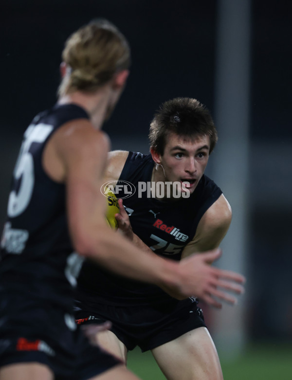 VFL 2024 Round 07 - Carlton v Casey Demons - A-49097346