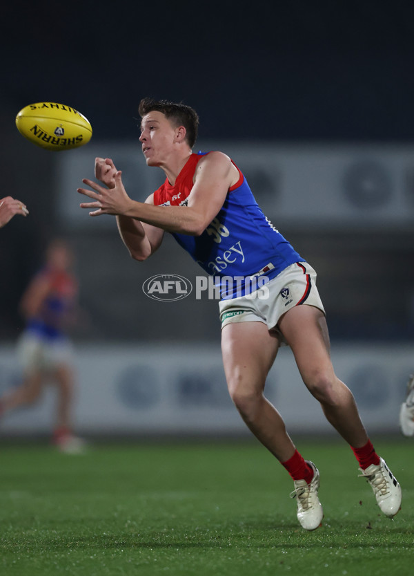 VFL 2024 Round 07 - Carlton v Casey Demons - A-49097404