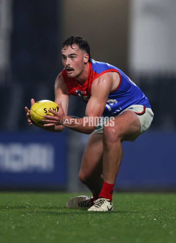 VFL 2024 Round 07 - Carlton v Casey Demons - A-49097411