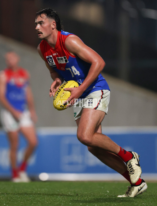 VFL 2024 Round 07 - Carlton v Casey Demons - A-49097412