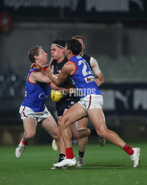 VFL 2024 Round 07 - Carlton v Casey Demons - A-49098549