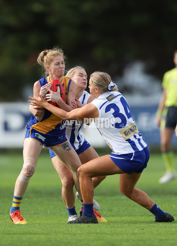 VFLW 2024 Round 08 - Williamstown v North Melbourne - A-49100904