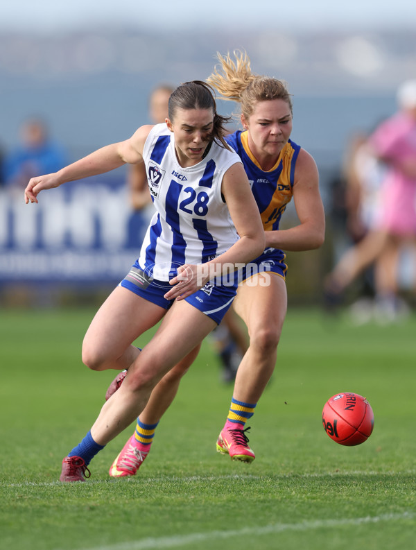 VFLW 2024 Round 08 - Williamstown v North Melbourne - A-49100913