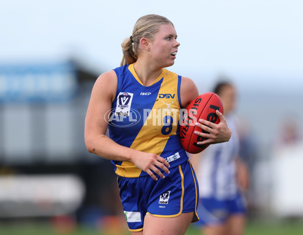 VFLW 2024 Round 08 - Williamstown v North Melbourne - A-49100918