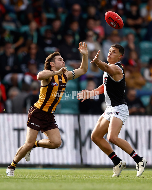 AFL 2024 Round 09 - Hawthorn v St Kilda - A-49100945
