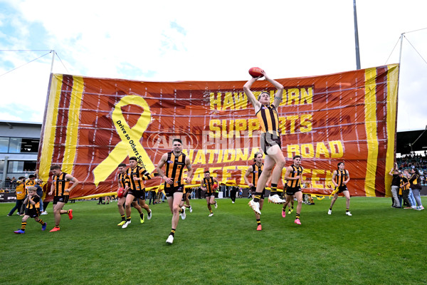 AFL 2024 Round 09 - Hawthorn v St Kilda - A-49103236