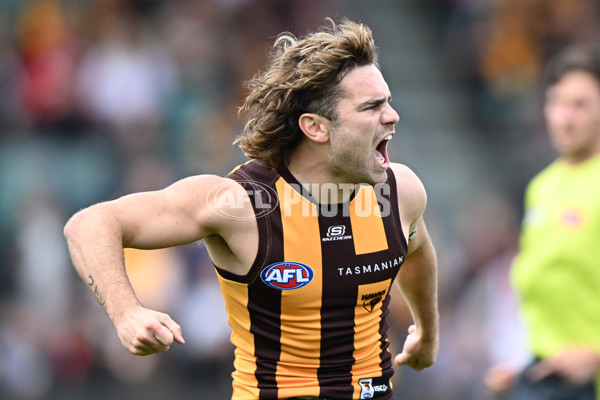 AFL 2024 Round 09 - Hawthorn v St Kilda - A-49103238