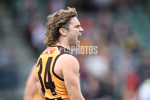AFL 2024 Round 09 - Hawthorn v St Kilda - A-49103240