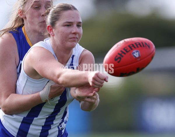 VFLW 2024 Round 08 - Williamstown v North Melbourne - A-49104486