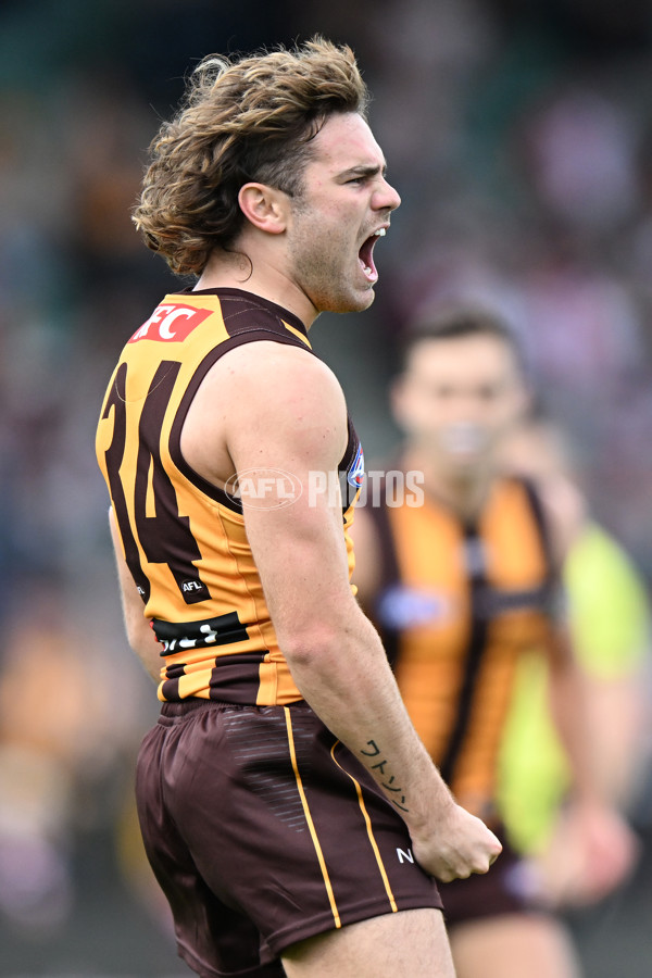 AFL 2024 Round 09 - Hawthorn v St Kilda - A-49104501