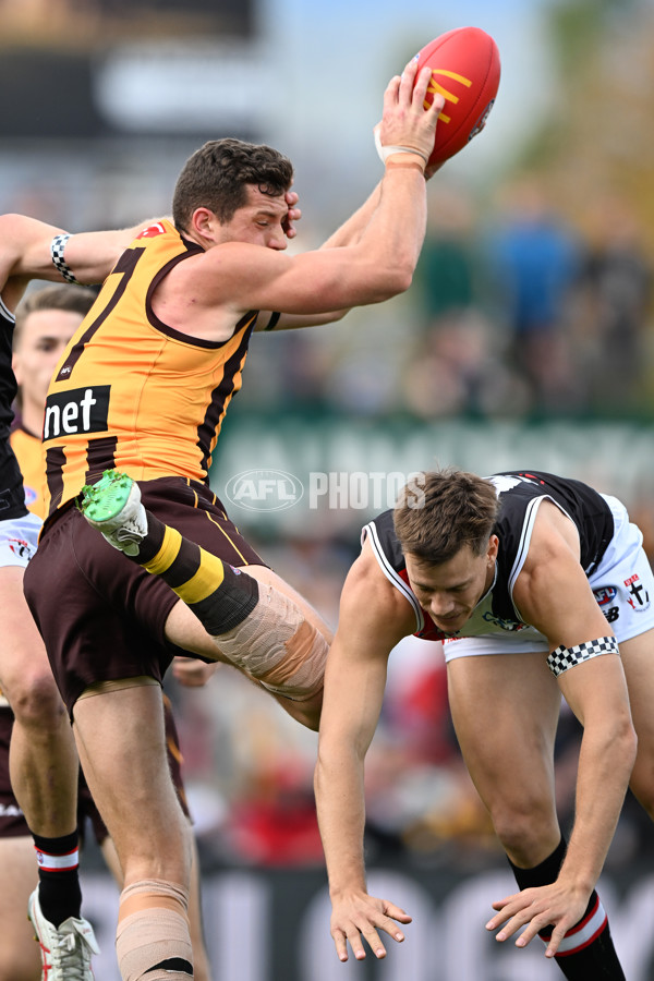 AFL 2024 Round 09 - Hawthorn v St Kilda - A-49104541