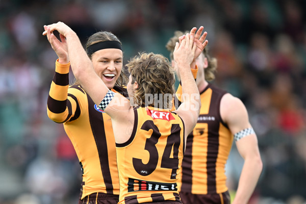 AFL 2024 Round 09 - Hawthorn v St Kilda - A-49104542