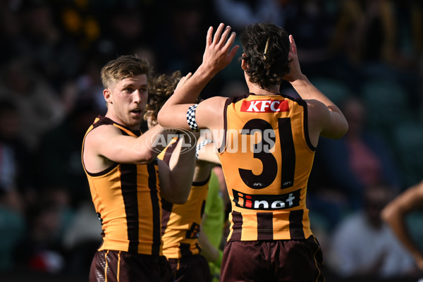 AFL 2024 Round 09 - Hawthorn v St Kilda - A-49104556