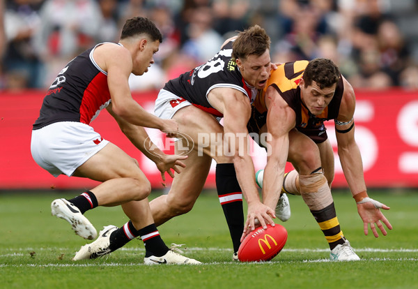 AFL 2024 Round 09 - Hawthorn v St Kilda - A-49104576