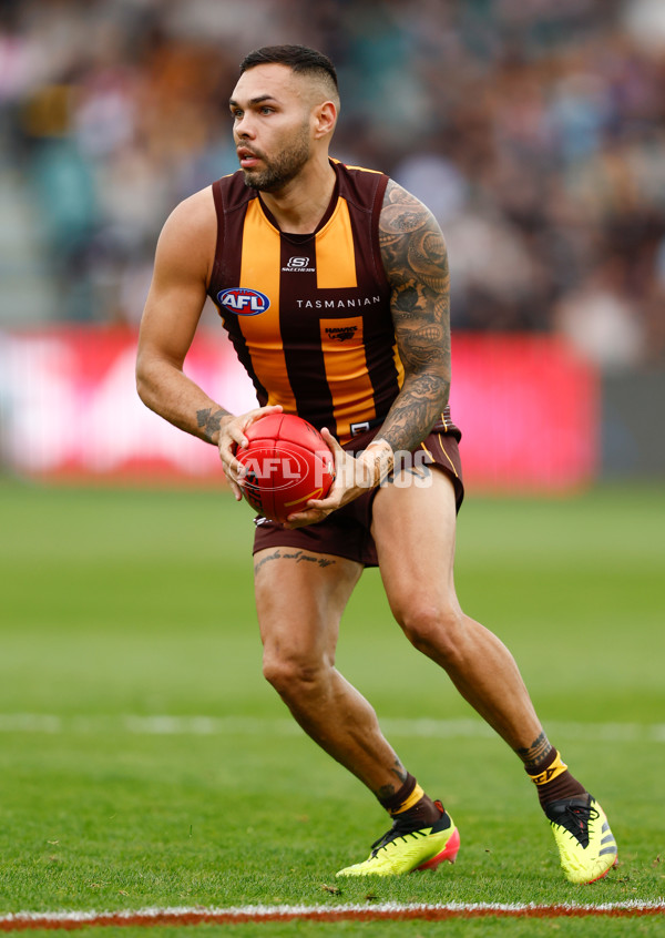 AFL 2024 Round 09 - Hawthorn v St Kilda - A-49104578