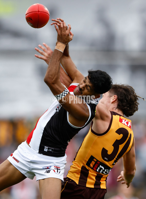 AFL 2024 Round 09 - Hawthorn v St Kilda - A-49105836