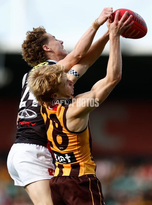 AFL 2024 Round 09 - Hawthorn v St Kilda - A-49107151