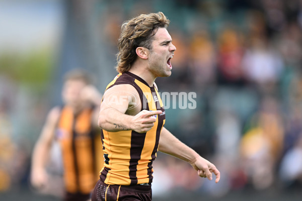 AFL 2024 Round 09 - Hawthorn v St Kilda - A-49107154