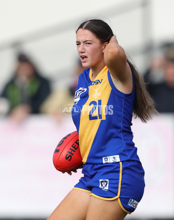 VFLW 2024 Round 08 - Williamstown v North Melbourne - A-49108734