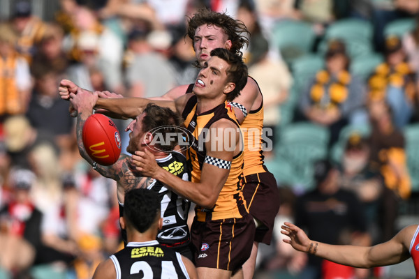 AFL 2024 Round 09 - Hawthorn v St Kilda - A-49108757