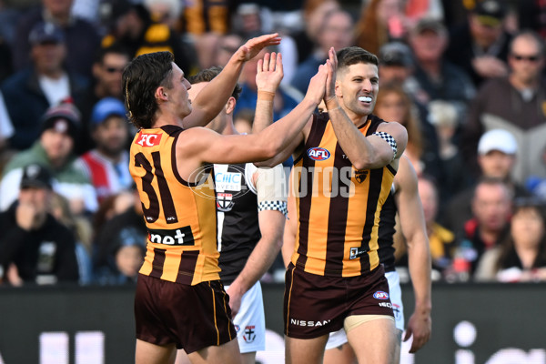 AFL 2024 Round 09 - Hawthorn v St Kilda - A-49108799