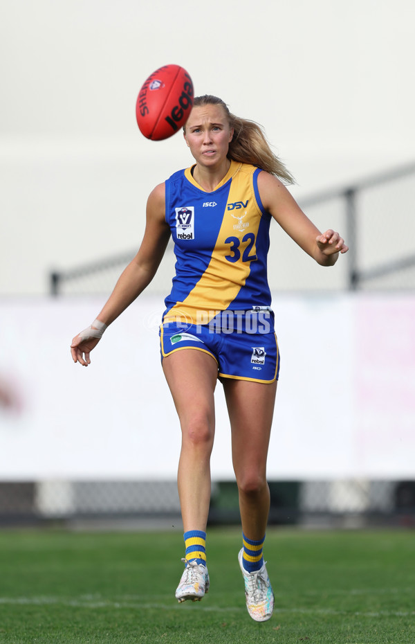 VFLW 2024 Round 08 - Williamstown v North Melbourne - A-49109646