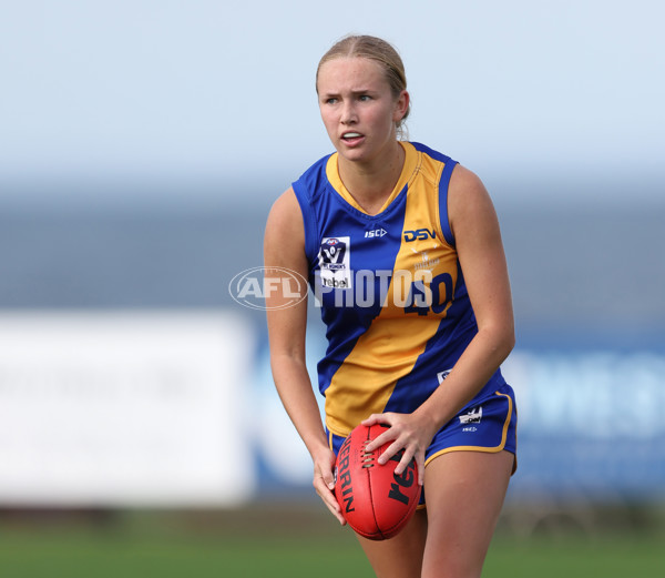 VFLW 2024 Round 08 - Williamstown v North Melbourne - A-49109723