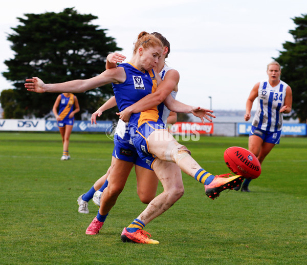 VFLW 2024 Round 08 - Williamstown v North Melbourne - A-49111465