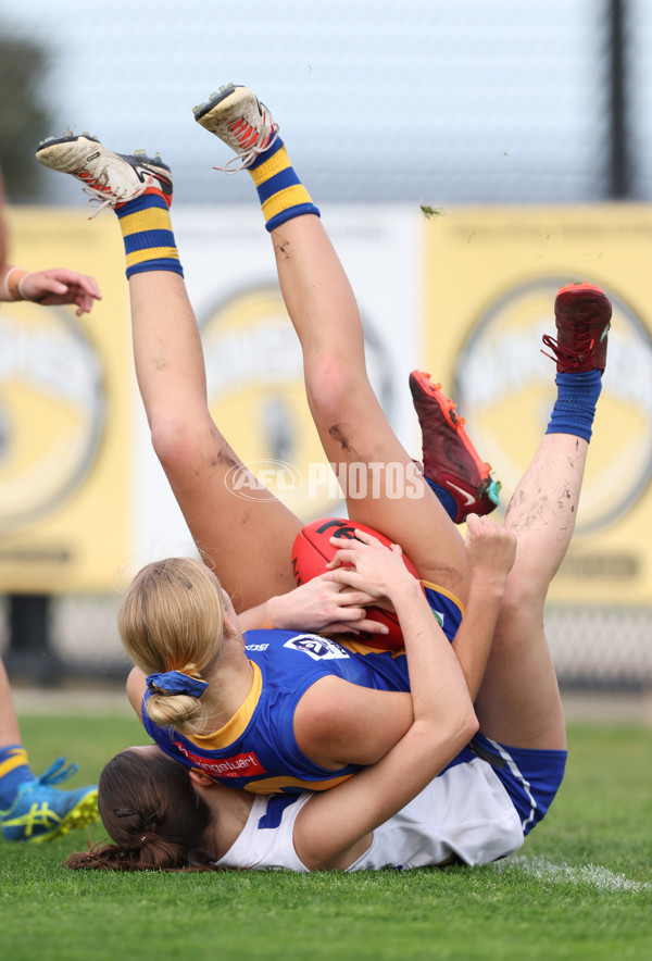 VFLW 2024 Round 08 - Williamstown v North Melbourne - A-49112392