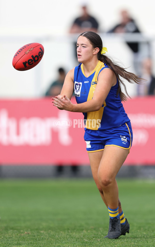 VFLW 2024 Round 08 - Williamstown v North Melbourne - A-49114306