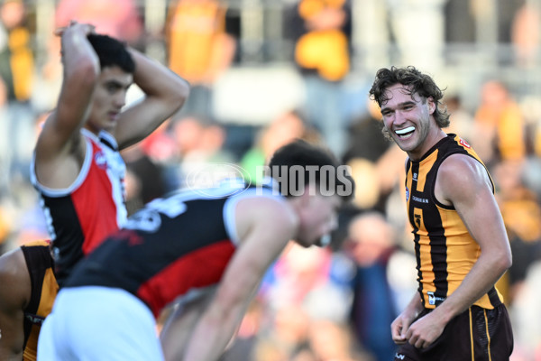 AFL 2024 Round 09 - Hawthorn v St Kilda - A-49114317