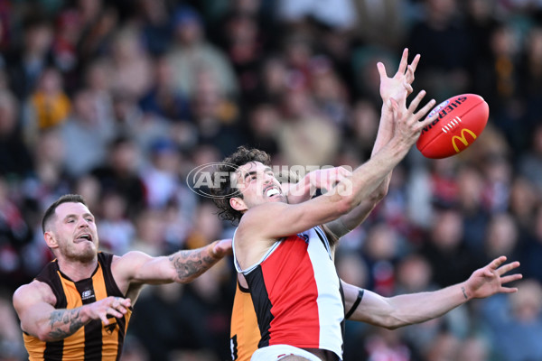 AFL 2024 Round 09 - Hawthorn v St Kilda - A-49114320