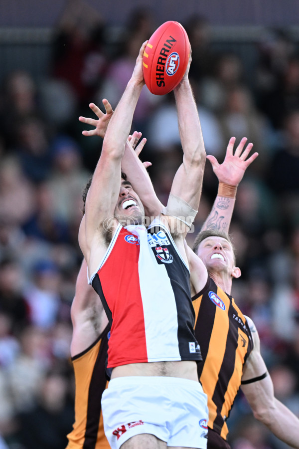 AFL 2024 Round 09 - Hawthorn v St Kilda - A-49114332