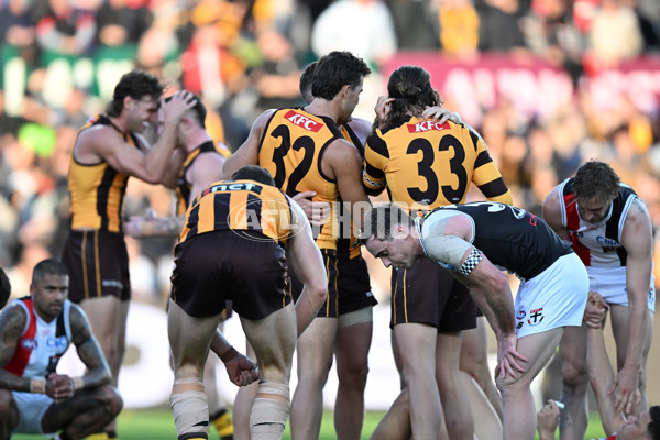 AFL 2024 Round 09 - Hawthorn v St Kilda - A-49114334