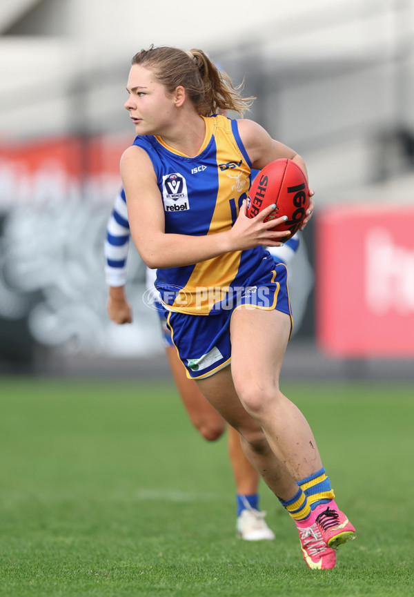 VFLW 2024 Round 08 - Williamstown v North Melbourne - A-49115192