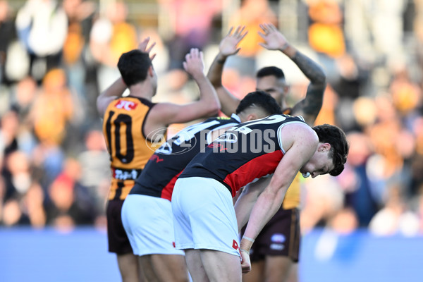 AFL 2024 Round 09 - Hawthorn v St Kilda - A-49115206