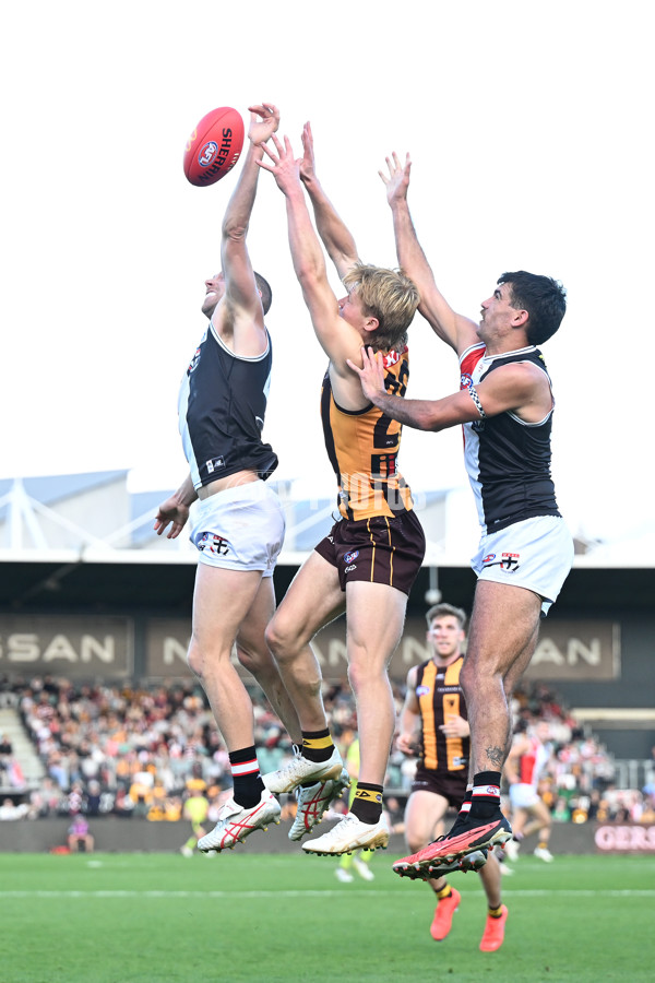 AFL 2024 Round 09 - Hawthorn v St Kilda - A-49115210