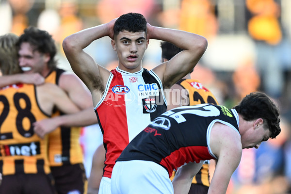 AFL 2024 Round 09 - Hawthorn v St Kilda - A-49115221