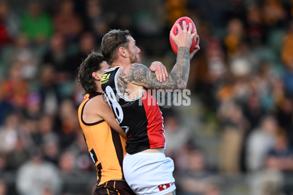 AFL 2024 Round 09 - Hawthorn v St Kilda - A-49115224