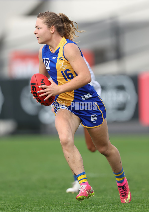 VFLW 2024 Round 08 - Williamstown v North Melbourne - A-49115272