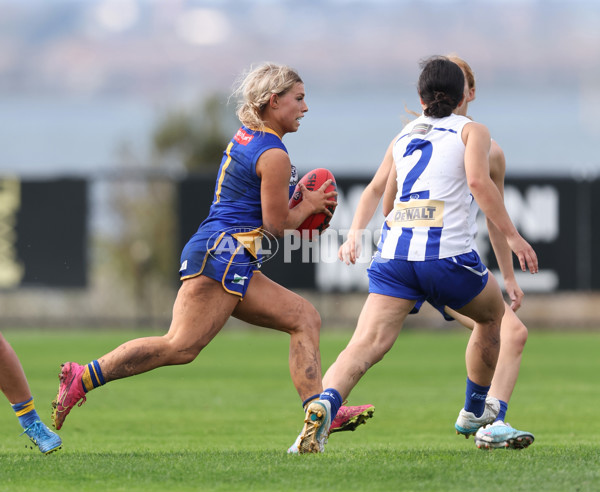 VFLW 2024 Round 08 - Williamstown v North Melbourne - A-49115275