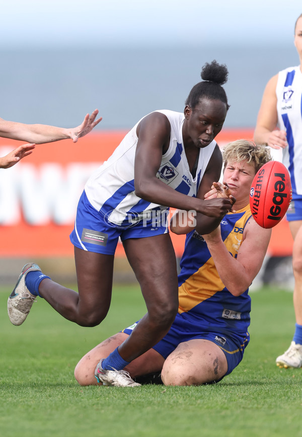 VFLW 2024 Round 08 - Williamstown v North Melbourne - A-49117487