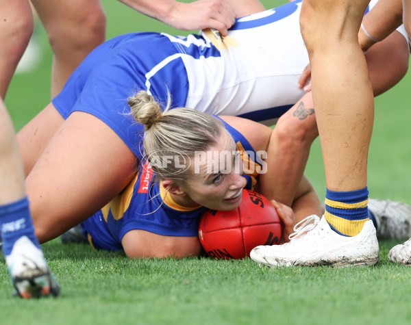 VFLW 2024 Round 08 - Williamstown v North Melbourne - A-49117492