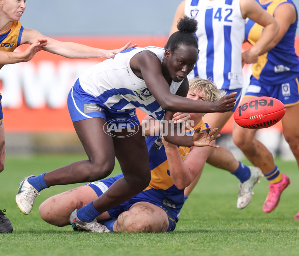 VFLW 2024 Round 08 - Williamstown v North Melbourne - A-49118167