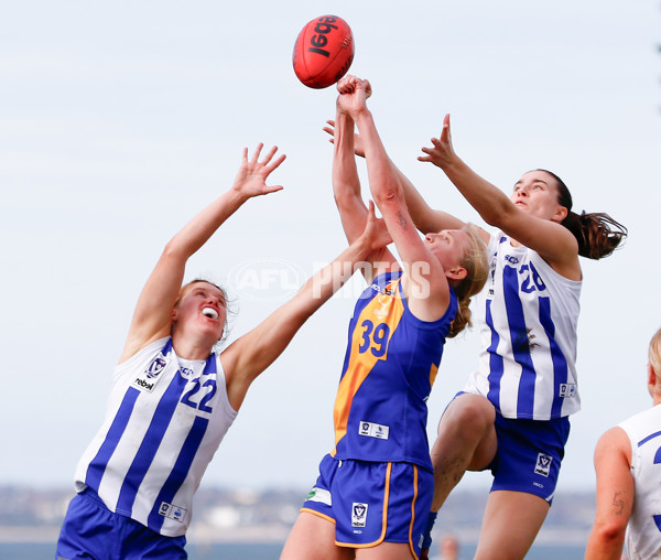 VFLW 2024 Round 08 - Williamstown v North Melbourne - A-49118169