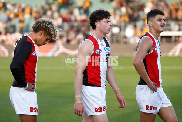 AFL 2024 Round 09 - Hawthorn v St Kilda - A-49120087